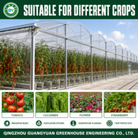 Serre en film multi-chapelles sur mesure avec structure en acier galvanisé à chaud et ventilation latérale/supérieure pour la culture à grande échelle de légumes et de fruits