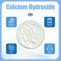 Poudre ultra fine de chaux calcairee de haute pureté 95% 300 Mesh Hydroxyde de calcium pour l'agriculture et l'amélioration des sols