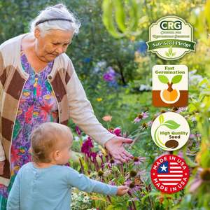 Paquete de 1 onza de Semillas de Mariposa Monarca, <span class=keywords><strong>Flores</strong></span> Silvestres, Anuales y Perennes de Autoestimulación, Sin Aditivos, Semillas de Lechosa, Macetas, Jardineras - Product Image 4