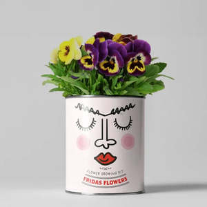 Kits de plantation en gros, pots personnalisés, kit de culture de plantes à <span class=keywords><strong>faire</strong></span> soi-même, kit de plantes d'intérieur, pot à herbes, cadeau de jardinage pour enfants - Product Image 3