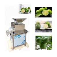 Presse-agrumes industriel automatique à double rouleau pour oranges et citrons