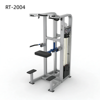 Machine d'extension dorsale professionnelle robuste, Chaise romaine, Banc d'hyperextension, Équipement de fitness pour le renforcement du bas du dos