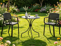 Ensemble bistrot d'extérieur en plastique, 2 chaises avec table ronde en métal, résistant aux intempéries, pour balcon, patio, café