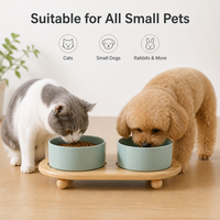 Fontaine à eau manuelle en céramique de 850 ml pour animaux de compagnie, distributeur d'eau intelligent pour petits animaux avec système de circulation à charge