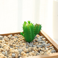 Mini plante artificielle en plastique, cactus à fleurs succulentes, 10 cm, pour décoration intérieure, accessoires de photographie de mariage, livraison directe