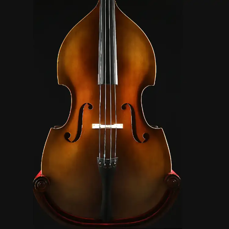 Cần Bán Thủ Công Double Bass Chất Lượng Cao Solidwood Big Bass Trẻ Em Người Lớn Biểu Diễn Chuyên Nghiệp Cello