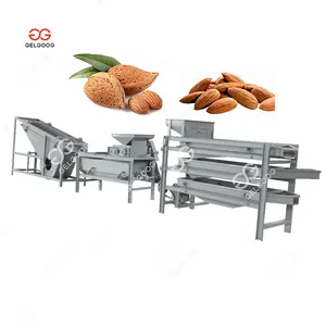 Factory Almond Shell Broken Shelling Machine Line Price Almond Nut Processing Equipment Machines For Almond Peeling