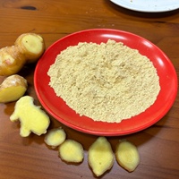 Poudre de gingembre chinois 100 Mesh, épice naturelle pure et saine du Guangxi pour la transformation alimentaire