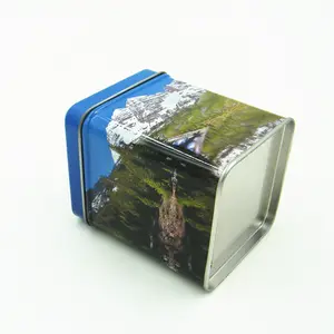 正方形のお茶缶ヒンジ付き蓋付き卸売金属茶ブリキ箱