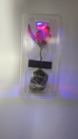 Lumière LED d'emballage de transport de clone de semis de jeunes plantes vivantes