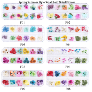 12 Rejilla <span class=keywords><strong>en</strong></span> caja Primavera Verano Estilo 3D Nail Sticker Decoraciones Hoja pequeña Flor seca Prensada <span class=keywords><strong>en</strong></span> Nail Art Charm - Product Image 5