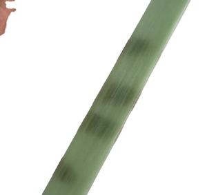 Tira de fibra de vidrio epoxi de la mejor calidad para hacer arco/arco de tiro con arco de fibra de vidrio a la venta - Product Image 3