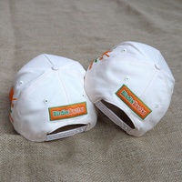 Casquette de baseball en coton à 5 panneaux pour hommes et femmes, avec logo brodé de haute qualité OEM, idéale pour le golf et les sports, vente en gros, design personnalisé, pour l'extérieur