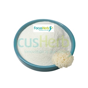 Suministro al por mayor a granel de polvo de polisacárido de extracto de Tremella Fuciformis extraído con solvente, grado alimenticio orgánico, marca FocusHerb, 50% - Product Image 2