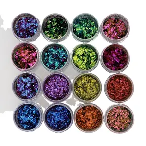 Chameleon Pigment Wholesale Multichrome Color Shifting Pigment Eye Shadow Chameleon Magic Flakes Chunky Flake For Nail