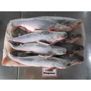 <span class=keywords><strong>Poisson</strong></span>-chat Pangasius Basa congelé à bas prix <span class=keywords><strong>poisson</strong></span> rond entier de haute qualité une grande valeur pour vos poissons - Product Image 3