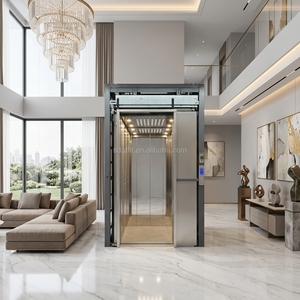 Elevadores Hidráulicos Económicos <span class=keywords><strong>para</strong></span> Interiores/Exteriores, Elevador Residencial <span class=keywords><strong>para</strong></span> Viviendas Privadas - Product Image 6