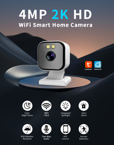 Caméra IP AI CCTV compatible ONVIF personnalisée 2MP 4MP 8MP <span class=keywords><strong>4K</strong></span>, mini caméra <span class=keywords><strong>espion</strong></span> sans fil WiFi POE SMART WEBSOCKET cachée - Product Image 2