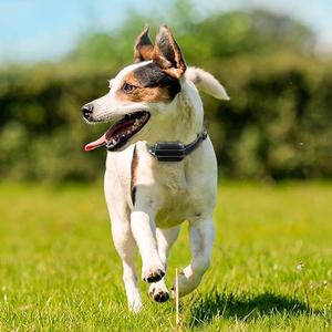 Signal GPS intelligent AI Clôture électronique pour chien Étanche et rechargeable 3 modes d'avertissement Portée de 65 à 3290 pieds pour la plupart des chiens en plastique - Product Image 6