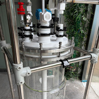 Reactor Químico de Vidrio a Prueba de Explosiones de 50L con Agitador Helicoidal para Síntesis Orgánica