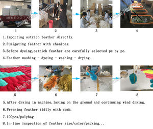 Plumes d'autruche Femina <span class=keywords><strong>24</strong></span>-26 pouces pour décoration de costumes de carnaval - Product Image 4