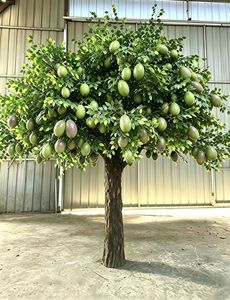 <span class=keywords><strong>Arbre</strong></span> artificiel <span class=keywords><strong>de</strong></span> <span class=keywords><strong>fruit</strong></span> <span class=keywords><strong>de</strong></span> <span class=keywords><strong>la</strong></span> <span class=keywords><strong>passion</strong></span> personnalisable, réaliste, pour <span class=keywords><strong>la</strong></span> décoration intérieure d'hôtels et d'espaces commerciaux - Product Image 1