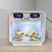 Incubateur-nouvel-né intelligent à température constante intégré OEM, adapté aux jeunes volailles avec garantie d'un an