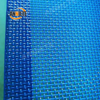 Voedselveilige polyester gaas transportband voor voedselverwerking, groente- en fruitwassing, FDA goedgekeurd, ademend ontwerp met drainage.