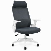 Chaise de bureau ergonomique moderne en maille, réglable en hauteur, pivotante, pour ordinateur, conférence, poste de travail, usage commercial et scolaire