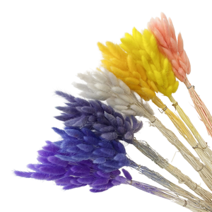 Fiori Secchi di Lagurus Ovatus all'Ingrosso, Erba Coda di Coniglio dello Yunnan, Fiori Conservati - Product Image 2