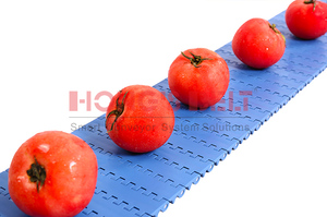 Hongsbelt gıda işleme için HS-200A-HD gıda sınıfı plastik modüler konveyör bant - Product Image 4