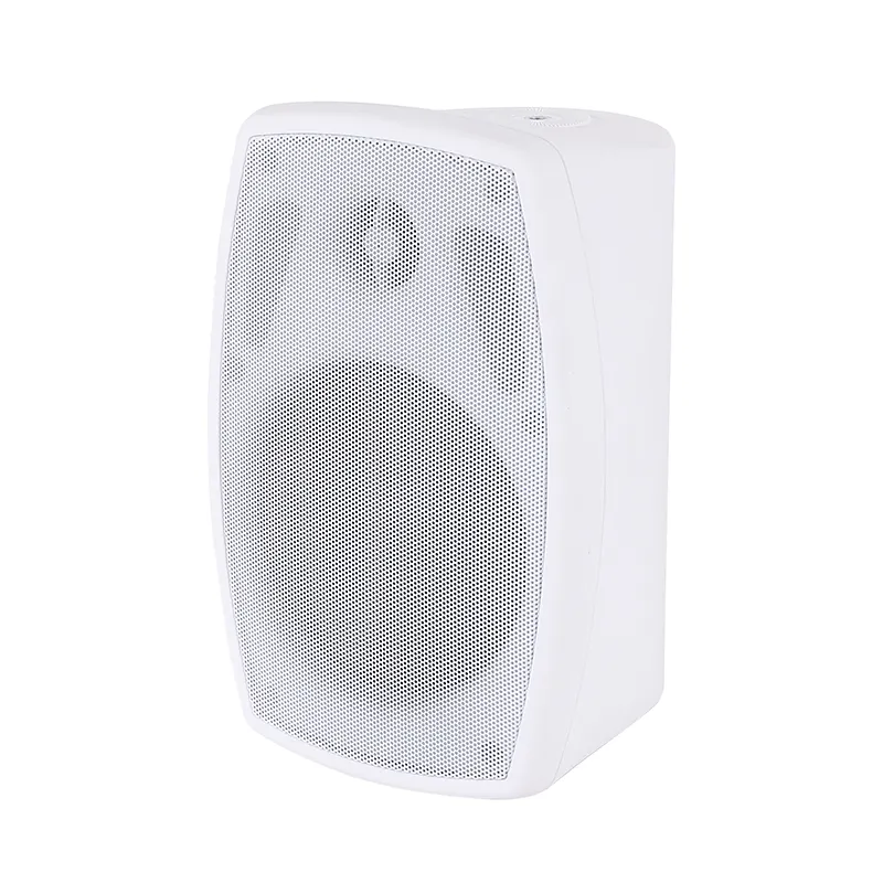 In wall speaker Hot Sale bluetooth Speaker HY-315BT 5 inch wall mount speaker White Black public address system