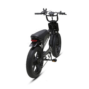 Bicicleta Eléctrica de Alta Calidad con Suspensión, 7 Velocidades, Frenos de Disco Hidráulicos, Batería de Litio de 48V en el Buje Trasero, Motor de 350W, para Dos Personas, Modelo E Time Tourist - Product Image 3