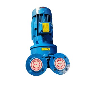 2BV Water Ring <b>Vacuum</b> <b>Pump</b> 380V Industrial <b>Pump</b> Head For Water Treatment Machinery - Product Image 5