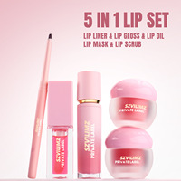 Kit Cadeau Beauté 5-en-1 : Gloss, Crayon à Lèvres, Masque, Exfoliant et Hydratant – Maquillage des Lèvres Nourrissant à Marque Privée