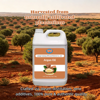 Huile d'Argan Marocaine en Gros, Pressée à Froid, Hydratation Intense, Soin Nourrissant Cheveux & Visage/Corps pour Tous Types de Peau