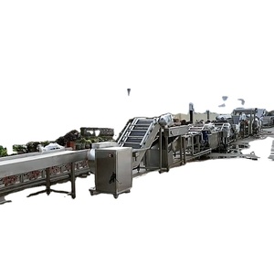 Ligne industrielle entièrement automatique de machines de production de traitement de chips de pommes de terre frites surgelées Baixin - Product Image 3