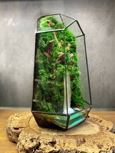 カントリースタイルの禅ガーデンテラリウムキット幾何学的な滝の保存されたモスアートプラントギフト用の植物繊維から作られた植物 - Product Image 5