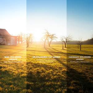 Gafas de sol polarizadas Premium para hombres mujeres jóvenes UV400 Tac gafas para béisbol pesca ciclismo Golf motocicleta verde rojo OEM - Product Image 3