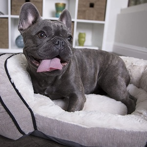 Cama de perro de espuma viscoelástica con Gel de felpa, cómoda, con fondo antideslizante - Product Image 3
