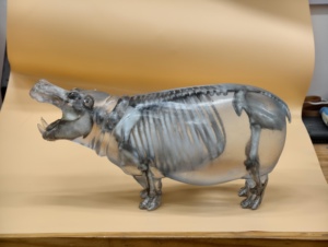 Escultura Artística de <span class=keywords><strong>Esqueleto</strong></span> de Rana en Resina Transparente de Alta Definición con Detalles Realistas de Huesos de Animales para el Hogar - Product Image 6
