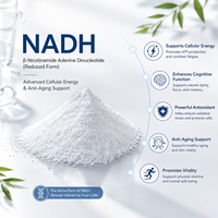 NADH réduit de 90 % (CAS 606-68-8) – Matière première anti-âge qui améliore l'énergie cellulaire, répare les cellules et soulage la fatigue