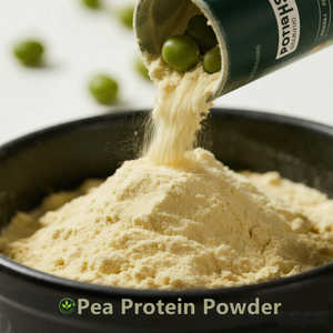 天然有機エンドウ豆タンパク質非GMOエンドウ豆タンパク質粉末80% エンドウ豆タンパク質 - Product Image 2