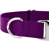 Kingtale Collier pour chien en nylon de qualité supérieure avec boucle en métal pour petites, moyennes et grandes races Vibrant 9 couleurs au choix