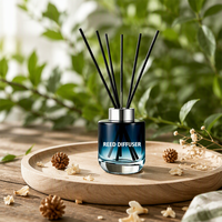 Diffuseur de parfum d'ambiance en verre dégradé avec bâtonnets noirs pour chambre, salon, salle de bain, bureau