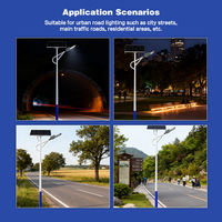 Lampe solaire de rue LED en aluminium moulé sous pression, haute luminosité, étanche, Laihong Industrial, 30W-200W, IP66, extérieur, garantie 5 ans