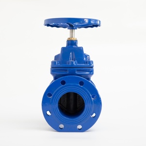 Vanne à opercule à siège souple en fonte ductile OEM pour applications industrielles et conduites d'eau - Product Image 1