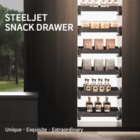 Panier de rangement coulissant à fermeture douce en acier inoxydable pour armoire de cuisine et garde-manger domestique