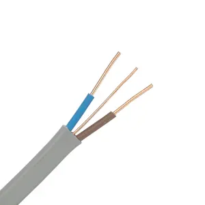 Flat Cable Twin and Earth 22x4+2.5mm2 6242Y 6243Y Electrical Wire Cable for Home at Factory Price