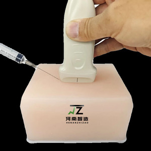 अल्ट्रासोनिक पंक्चर फैंटम व्यापक प्रशिक्षण मॉडल जिसमें रक्त वाहिकाओं ट्यूमर तंत्रिकाओं और साइस्ट - Product Image 3